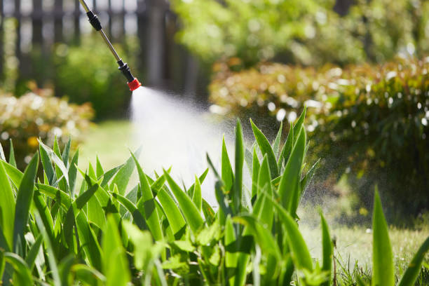 24/7 Emergency Mosquito Control experts in Brentwood, TN